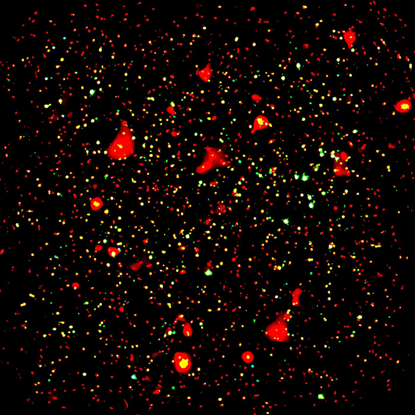 XMM-Newton X-ray image of the COSMOS field: thousands of point-like active galactic nuclei and extended galaxy clusters on a black background